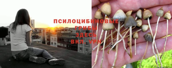 дистиллят марихуана Аркадак